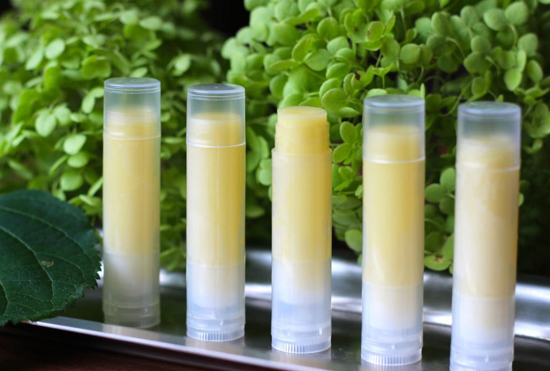 Beef Tallow Lip Balm